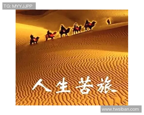 廖三宁：从音乐才子到文化传播者的多元人生旅程