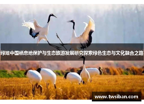 绿雉中国栖息地保护与生态旅游发展研究探索绿色生态与文化融合之路