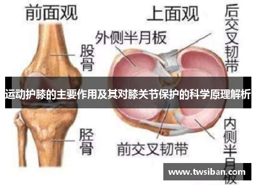 运动护膝的主要作用及其对膝关节保护的科学原理解析